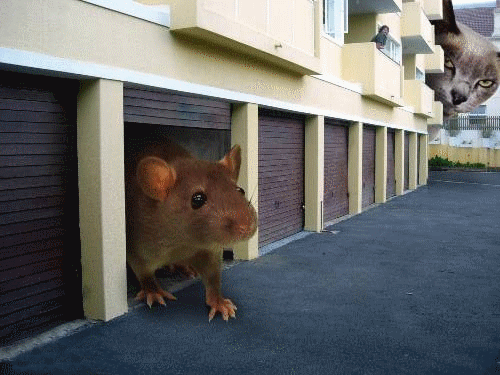 Image du Blog misssouricette.centerblog.net